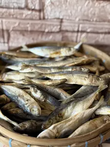 IKAN ASIN LAYANG ATAU KLOTOK MURAH KUALITAS SUPER - KIRIM KERING