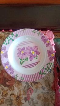 Product Review of PAKET HEMAT 6/12 Pcs Piring Makan Melamin 9 Inch 23 Cm - Melamin Meishing - Warna Random T109 from M**h 0