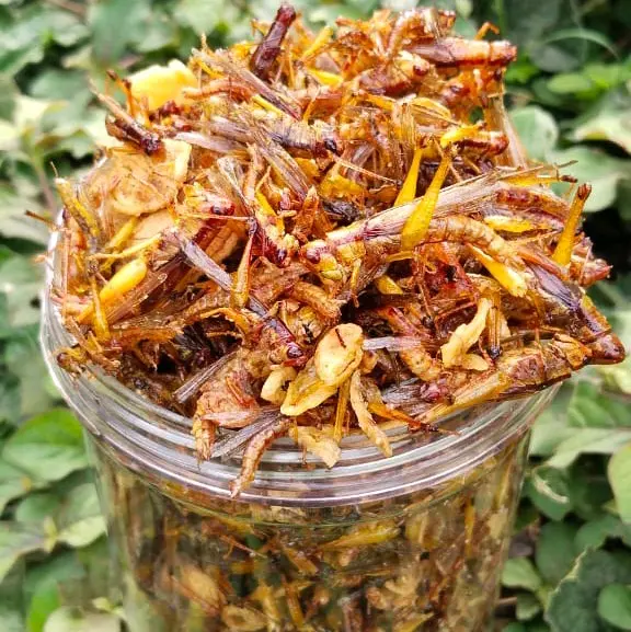 CEMILAN EXTRIM /WALANG/BELALANG GORENG TOPLES PANJANG 210 GRAM Rendah lemak 8