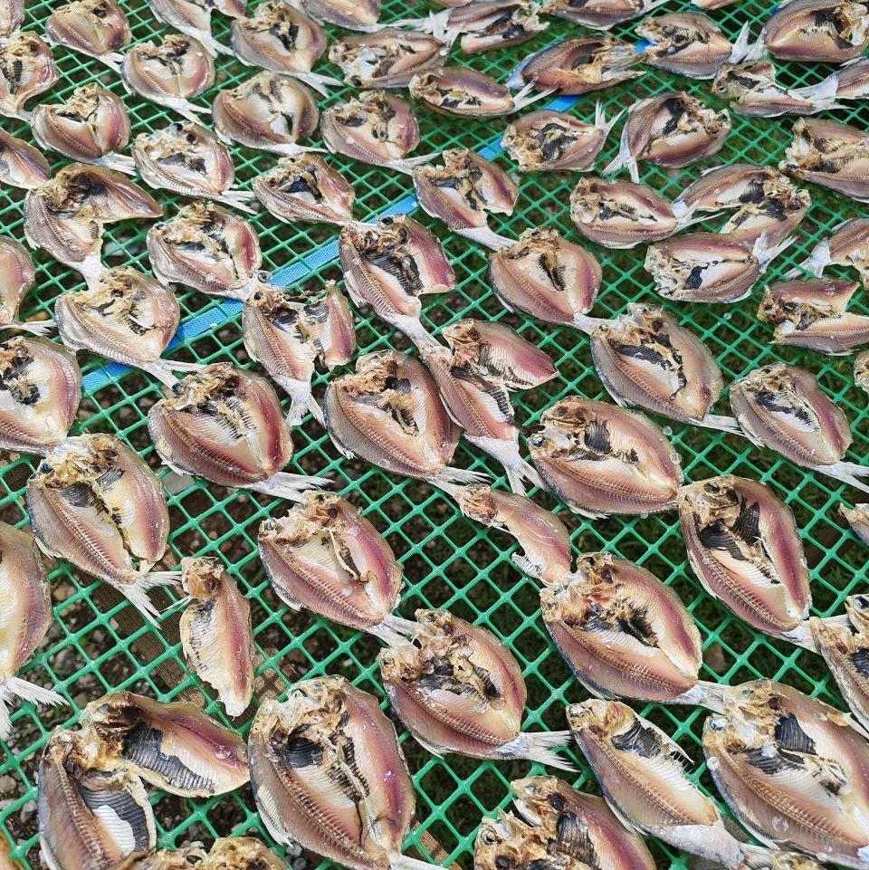Ikan Selangat | Kebasi | Tanjung Dawai | Kurang Masin | Dried Seafood — Product image