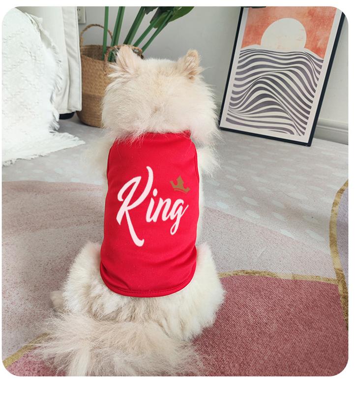Product Introduction of Cat and dog fashion design, printed clothing, trendy brand pet small and medium-sized dog sleeveless vest 6