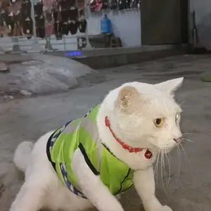 Baju Kucing Lucu Murah Seragam Rompi Parkir Hijau Ukuran XS S M L XL XXL 3XL 4XL