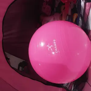 CHAMPS Gym Ball 55cm | Yoga Ball Pilates Fitness | Bola Senam Ibu Hamil Olahraga Otot Yoga Gym