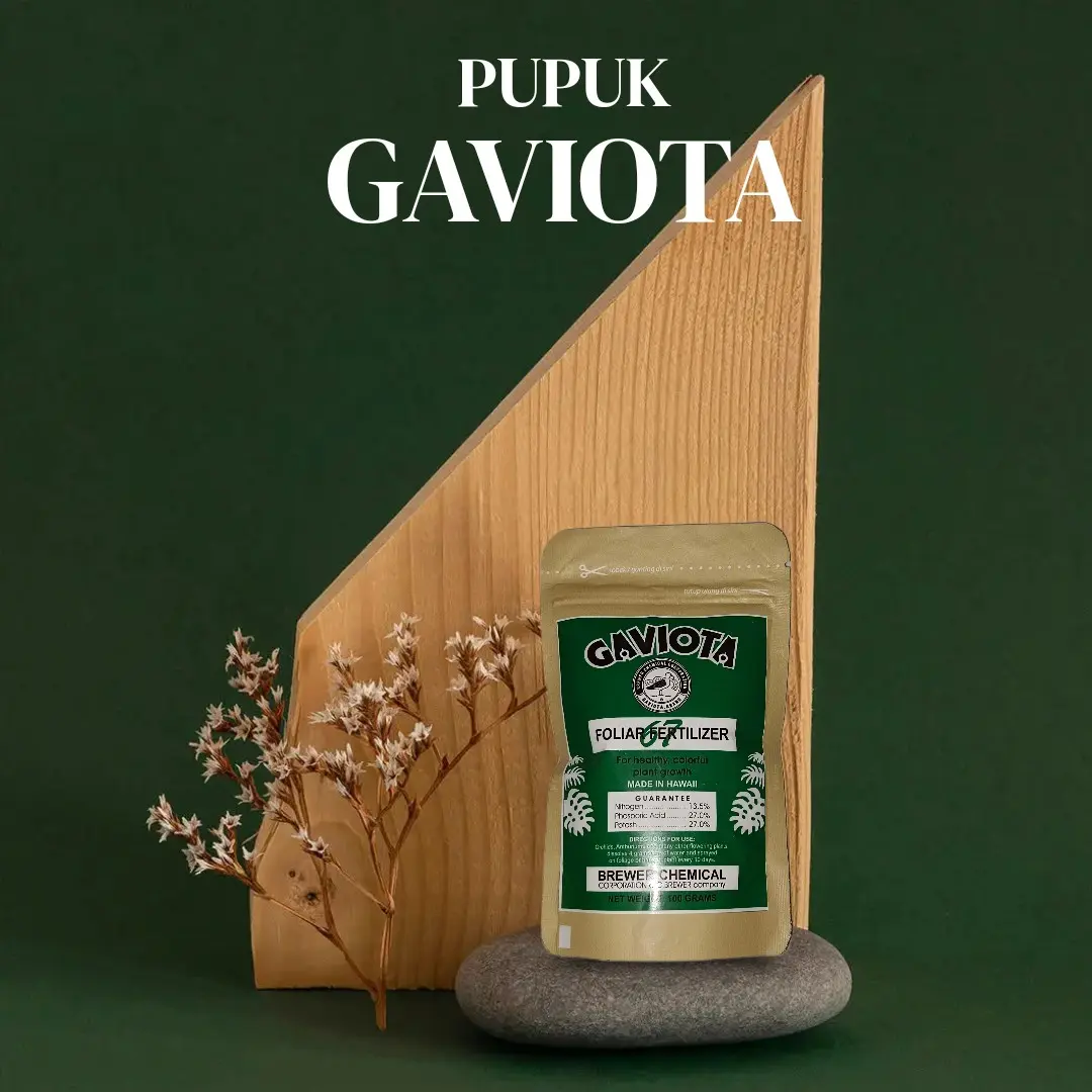 pupuk gaviota 67 pembungaan 100gram
