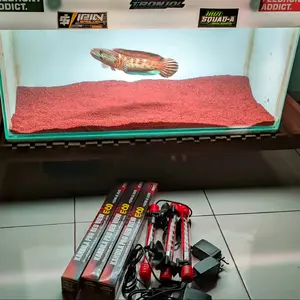 lampu kandilla pro red view eco