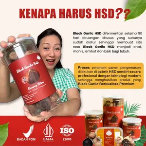 SALE (Bukan Tunggal ) HSD Black Garlic Honan 84 Gr / Box, Bawang Hitam Spices