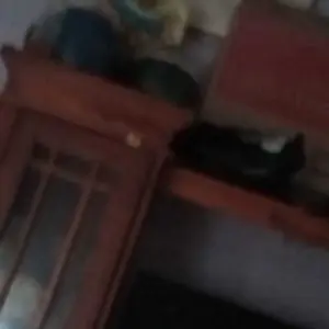 Xinyue Pelampung Rompi Renang Anak Motif Capybara Shark Jaket Renang Kids Pool Life Swimming