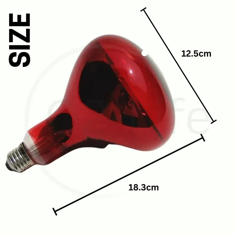 Bohlam Lampu Infrared 150 watt - 150w - paket 2 bohlam lampu infrared 4
