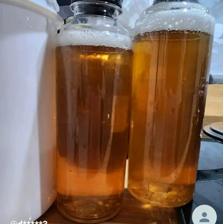 Teh Kombucha/Jamur Dipo/Scuby Kombucha Minuman Fermentasi 250ml - Serbuk, Bubuk, Gula, Air - Jambu