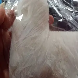 JENGGOT BREWIK KUMIS PUTIH TERLARIS Pria