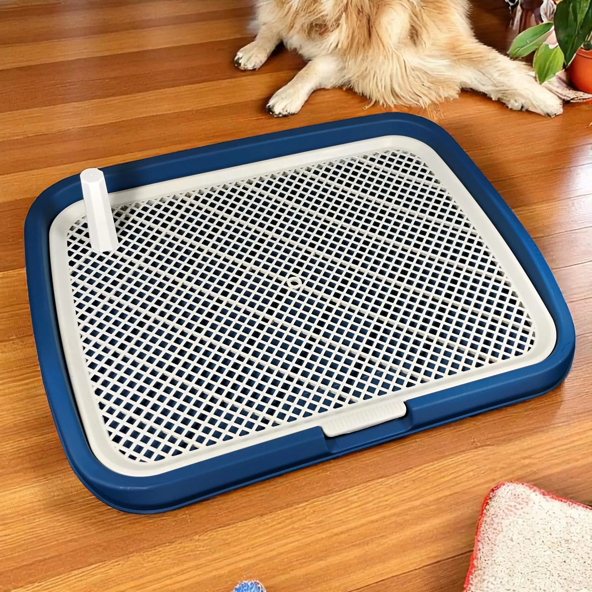 Dururui Tempat Pipis Anjing: Pelatihan Toilet Mudah & Efektif.  Desain Detachable, Material PP Tahan Air, Higienis, dan Ringkas.  Termasuk Pad Mesh & Pilar Potty untuk kenyamanan anjing Anda.