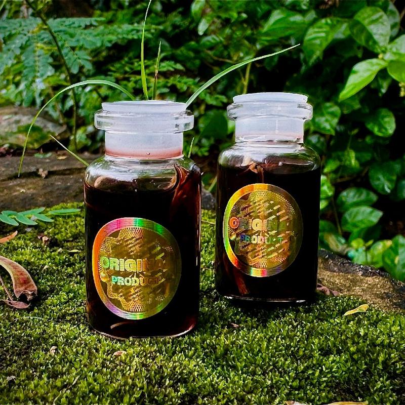 Minyak Pijat Dhewo Minyak Urut (Spesial Promo beli 1 gratis 1) Berhologram 2