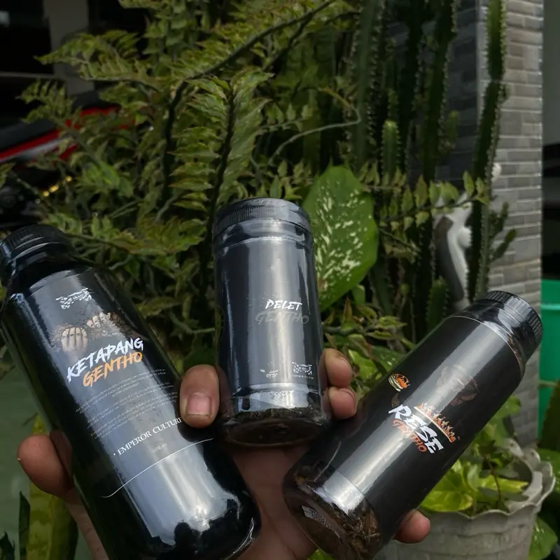 Paket PELETxRESExKETAPANG 1