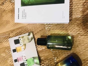Product Review of Scents OF Pluto Fragrance - Through The Mystic Forest | Eau De Parfum 50ml from Y**S 0
