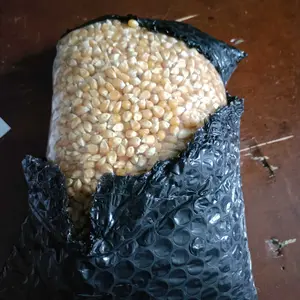 Jagung Popcorn Mentah 1 Kg Asli Argentina - Makanan Ringan - Food organik popcorn warna warni