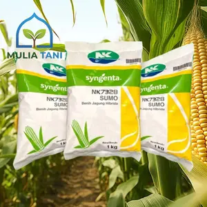 TOP 1 Benih Jagung Syngenta NK7328 Sumo 1Kg EXP 12 09 2026