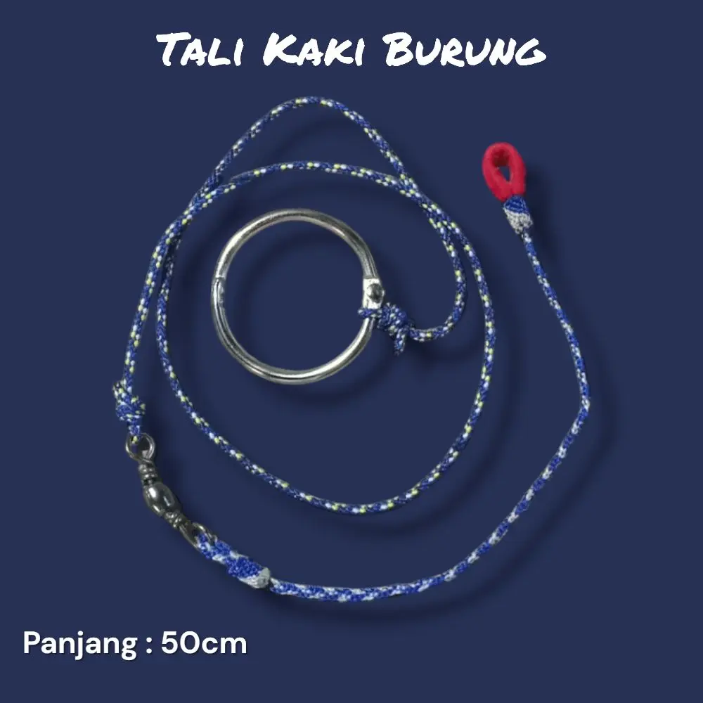 Tali Kaki Burung Kutilang Panjang 50cm Taki Angklet Burung Kutilang Trucukan Cendet