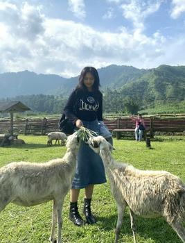 Product Review of NOMOLU - Crop Top Long Sleeve Kaos Wanita Vol.015 Moon from k**s 1