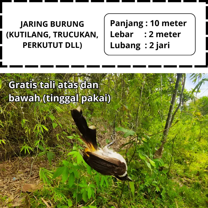 JARING BURUNG KUTILANG JARING BURUNG MURAI BATU JARING MONTANA JARING BURUNG SIAP PAKAI 0