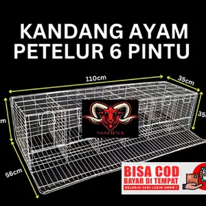 Kandang ayam petelur 6 pintu isi 6 ayam