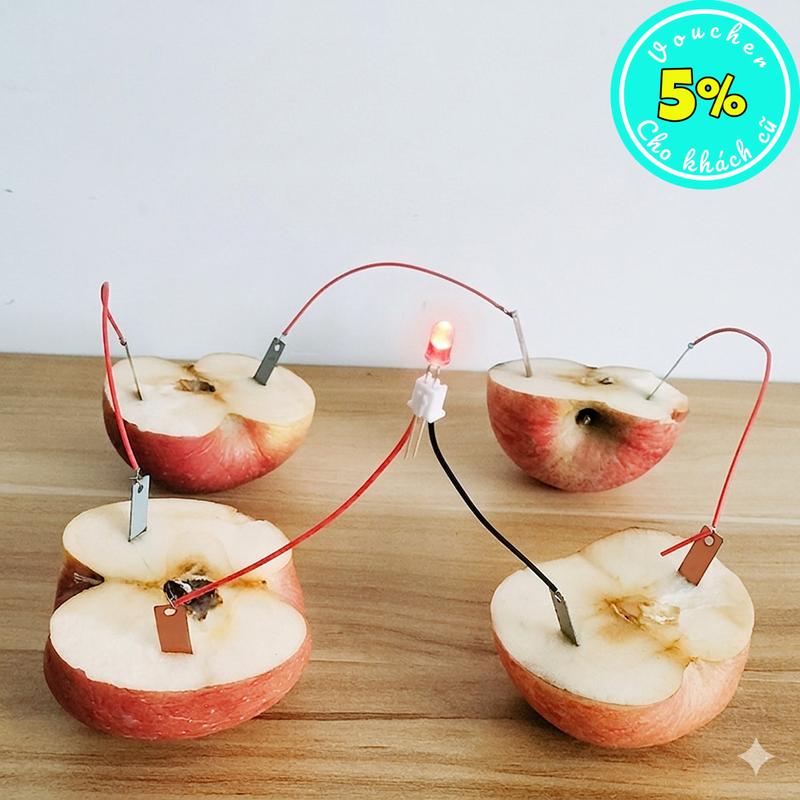 Bộ DIY Pin Trái Cây STEM – Thí Nghiệm Khoa Học Tự Tạo Điện Cho Trẻ Em 2026