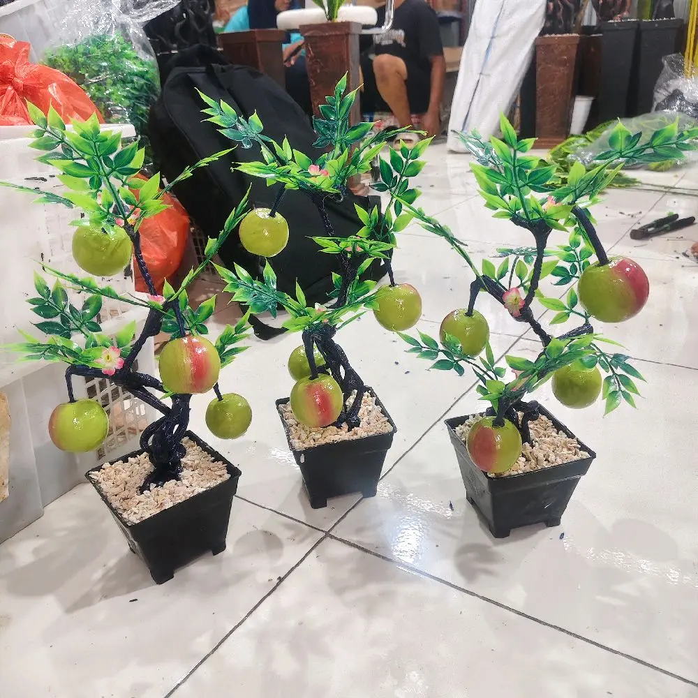 P. Apel hijau vs hitam