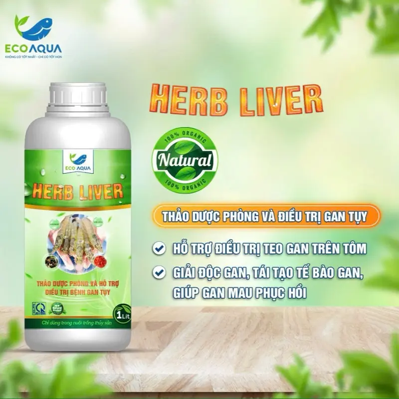 HERB LIVER - THẢO DƯỢC HỖ TRỢ PHÒNG NGỪA BỆNH GAN TỤY Ở TÔM.