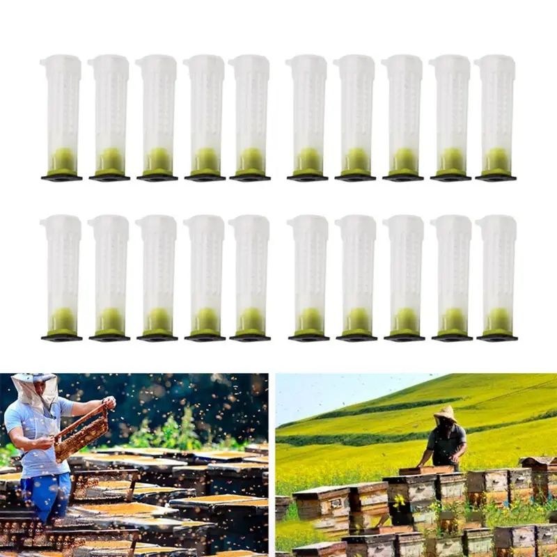 Lồng Nữ Hoàng Nuôi Ong, Cầm Tay Mini, Bền, Màu Trắng, Dụng Cụ Nuôi Ong, Lồng Cắn Ong, Vỏ Bảo Vệ Tế Bào Ong 1