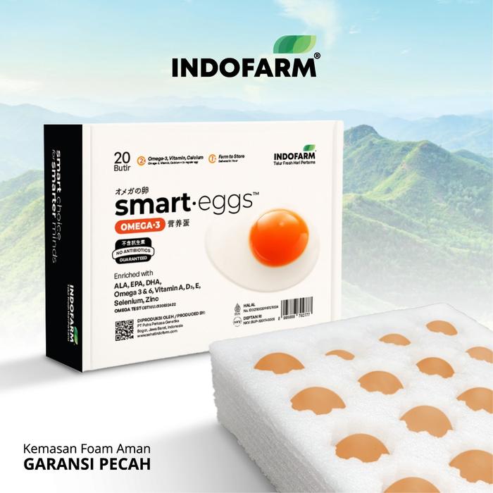 Gambar Telur Omega 3 Organik - INDOFARM Smart Eggs - Smart Eggs-Full Design dari INDOFARM JAKARTA SELATAN Kota Administrasi Jakarta Selatan 4 Tokopedia
