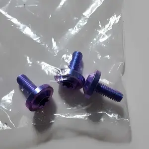 Baut M6x15 Big Head Drat 10 panjang 1,5cm Titanium