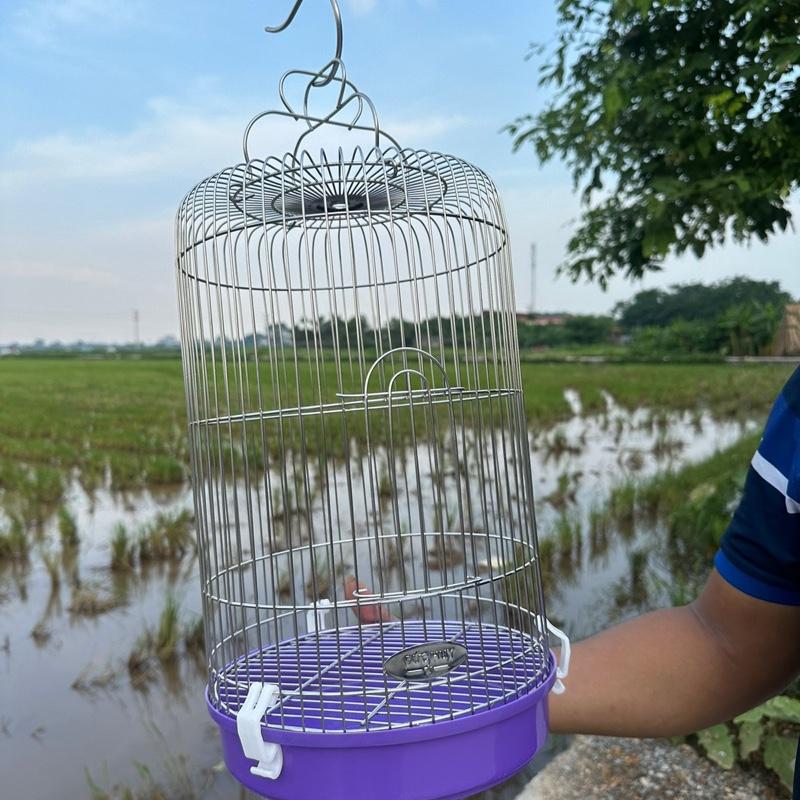  Lồng Khuyên inox tròn  inox cứng cáp  mẫu lồng tròn nuôi khuyên hút mật  Như Ảnh   chim 