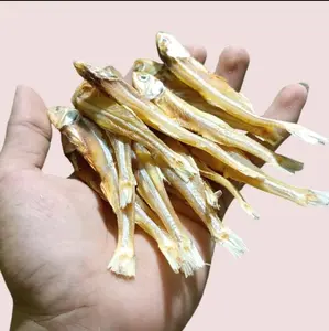 ikan teri kering besar/teri tawar ktk kualitas super Food