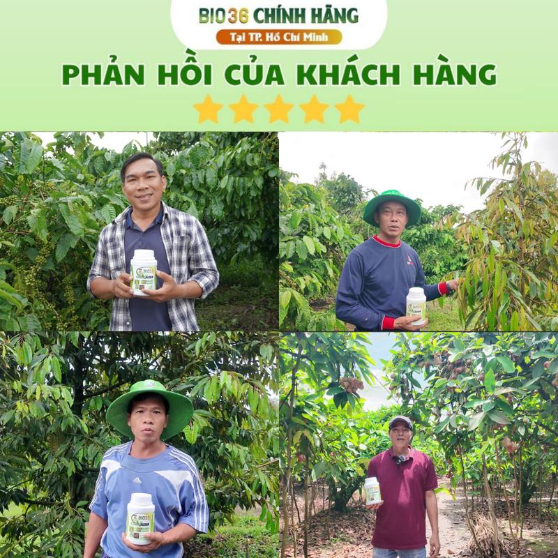 Phân Bón Kích Rễ BIO36 Đâm Rễ Mạnh, Đẩy Đọt Nhanh, Phục Hồi Cây Trồng 3