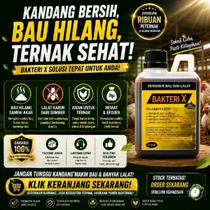 BAKTERI X PENGUSIR LALAT DAN BAU KANDANG, PRO BIOTIK KANDANG ANTI BAU, BAKTERI ANTI AMONIA, BAKTERI ORGANIK. #bakteri #pengurai #kandang