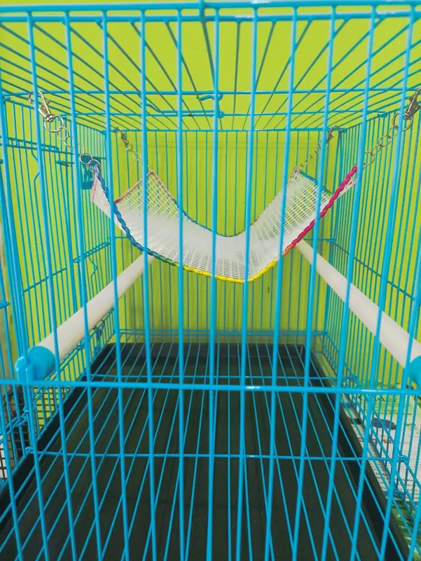 Jembatan Panjatan Hammock Jaring Mainan Hewan Sugar Glider Tupai 6