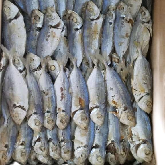 IKAN ASIN SELAR REBUS LAMPUNG Shop Tokopedia