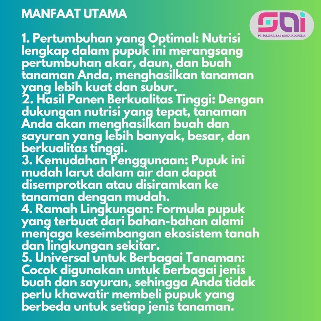 Pupuk Mangga Cepat Berbuah Pupuk Mangga Buah Lebat Pupuk Mangga Anti rontok POC Black Turbo