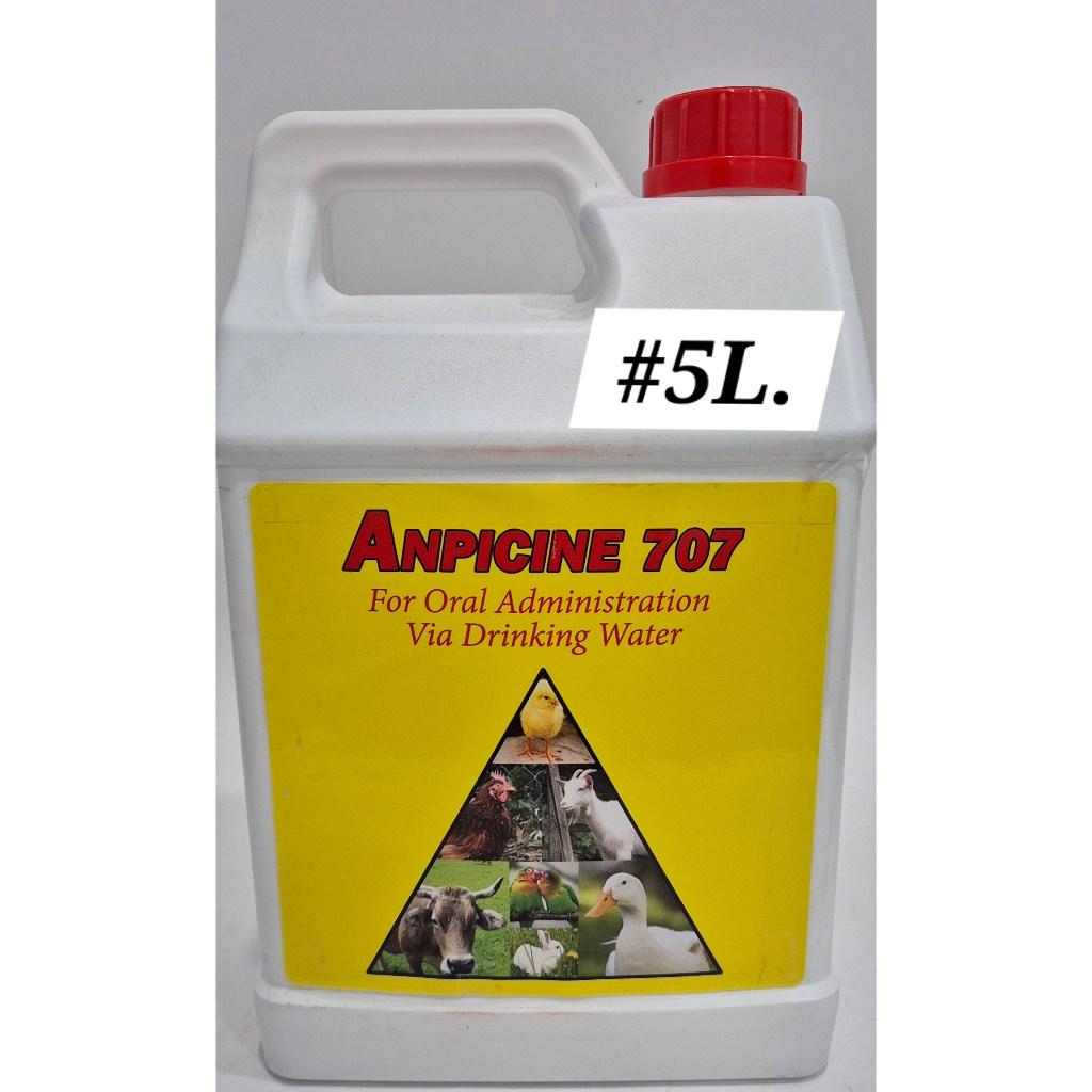 Anpicine 707 5Litre Medicine Medication Bird Chicken Duck Ubat Ayam Burung Itik
