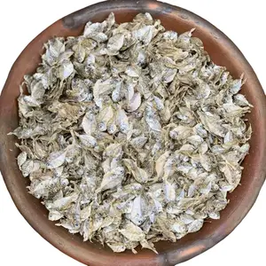 IKAN PIRIK HALUS/PETEK KECIL HALUS/BUYER/DODOK HALUS TAWAR KERING Food Laut 100% Kering Gurih Sedap Halal Lokal Pekalongan Cocok Segala Masakan