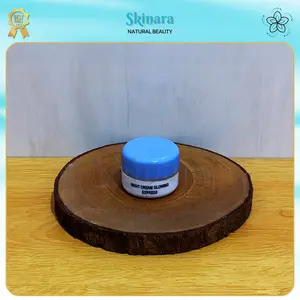 Night Cream Glowing Express 15gr Original - Krim Malam Glowing Express