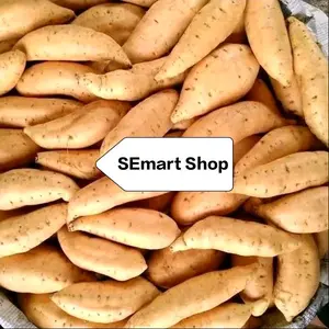 Ubi Madu Cilembu 1 Kg Telo Madu Sedang 1000 gram - Makanan Sehat Organik Kecombrang