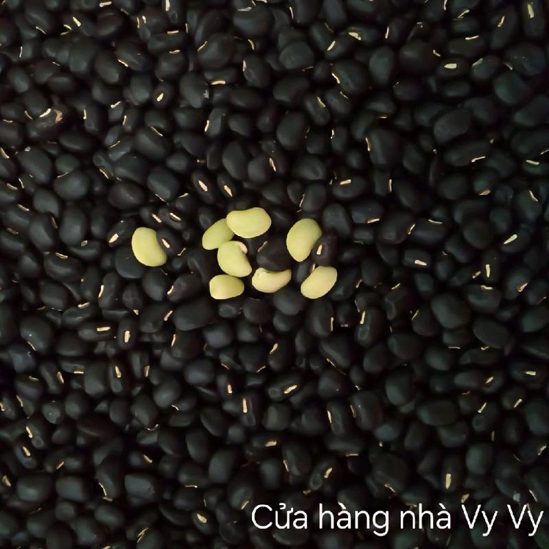  Đậu đen xanh lòng khô sống đậu mới nhà trồng Thực phẩm cần thiết giàu vitamin & khoáng chất tốt cho sức khỏe 