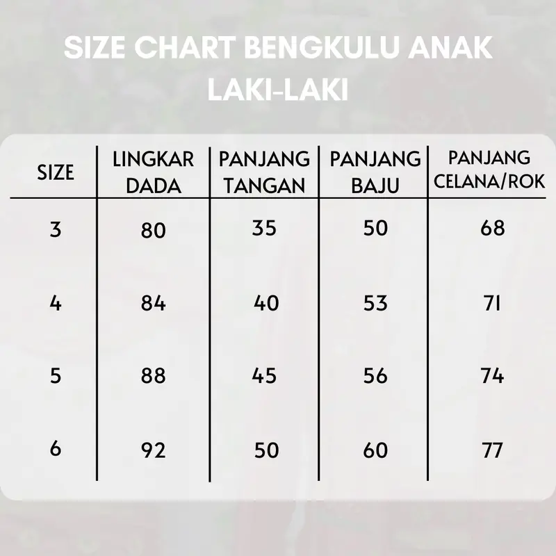Baju adat Bengkulu anak-anak satuan (Laki/Cewek) Fashion 4