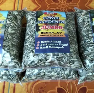 1 KG BENIH KUACI MATAHARI JUMBO UNGGUL
