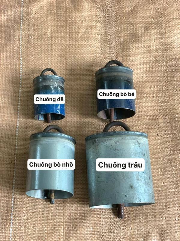 Chuông mõ đeo cổ gia súc - Chuông đeo cổ cho trâu, bò, dê, ... âm thanh lớn