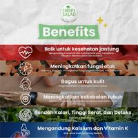 Gambar Crispy Salad Broccoli 20gr dari Crispy Salad Kota Administrasi Jakarta Utara 3 Tokopedia