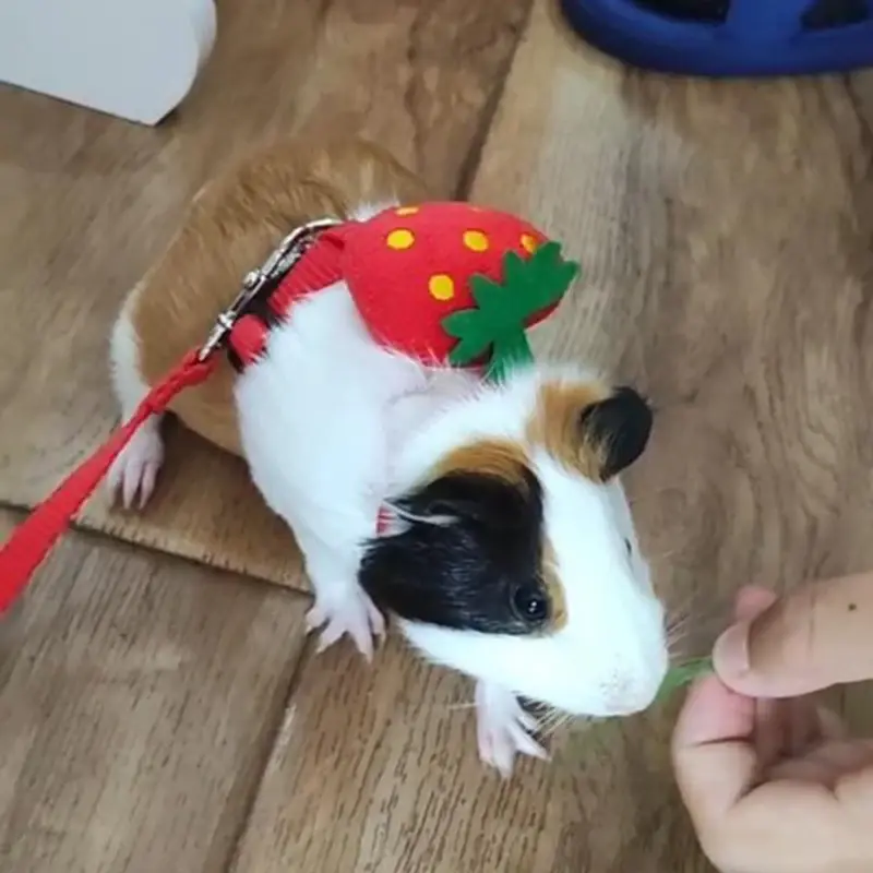 Walking Bunny Guinea Pig Harness for Small Animals Cute Pet Rabbit Harnesses and Leash Set Chinchilla Pigs mascotas Accessories