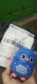 Product Review of Mainan Anak Burung Hantu Owl Bisa Jalan Tanpa Baterai Bergerak Toys from u**2 0