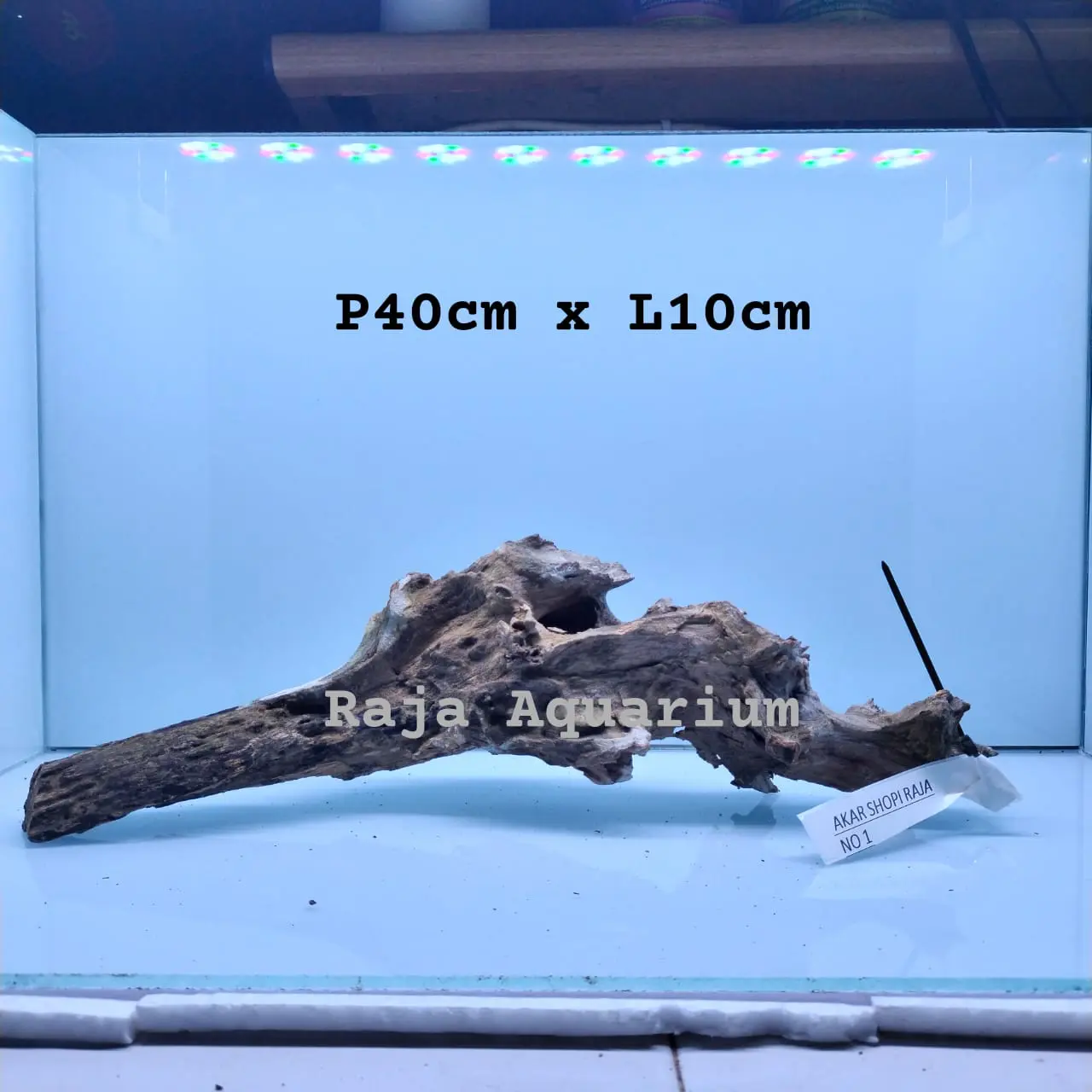 AKAR/KAYU ROSE WOOD Biotope,Hardscape,Aquascape , Reptile , reptil karakter unik