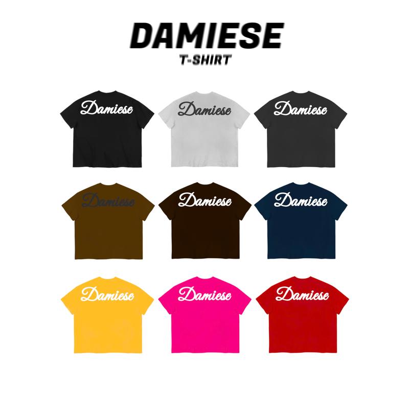 ÁO THUN BOXY IN PHỒNG LOGO "DAMIESE" COTTON 260GSM